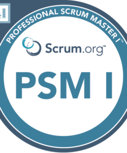Examtopics PSM I Practice Test